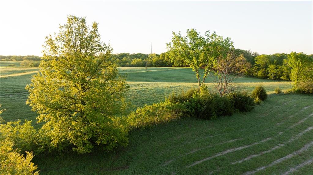 West Murray Road Polo, MO 64671 - Photo 63 of 99