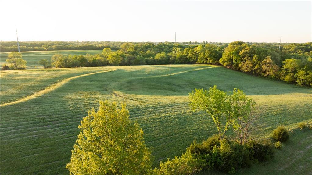 West Murray Road Polo, MO 64671 - Photo 65 of 99