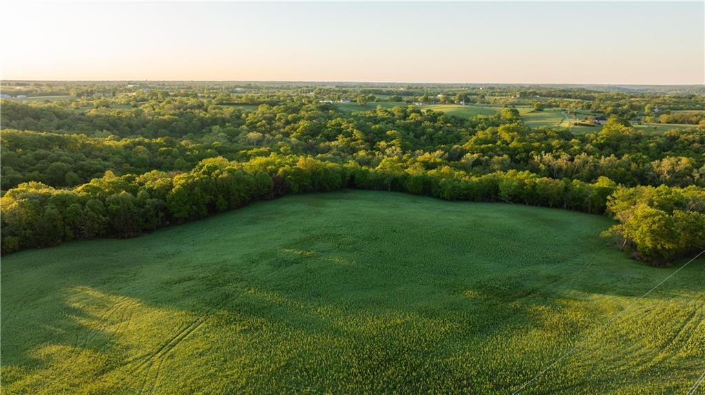 West Murray Road Polo, MO 64671 - Photo 74 of 99