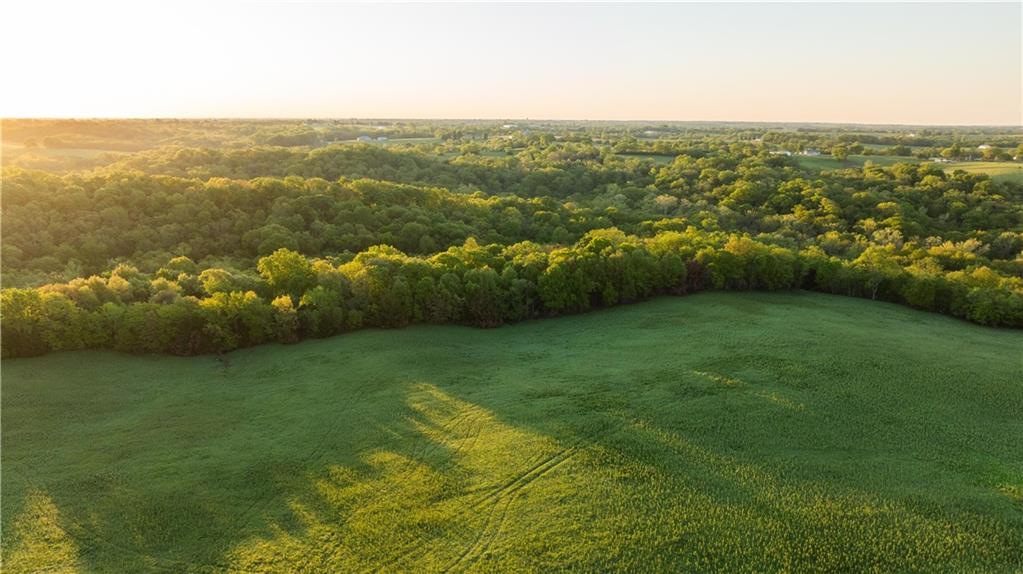 West Murray Road Polo, MO 64671 - Photo 75 of 99
