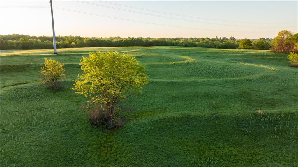 West Murray Road Polo, MO 64671 - Photo 79 of 99