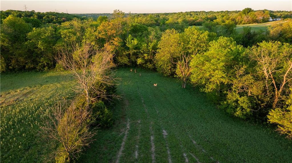 West Murray Road Polo, MO 64671 - Photo 83 of 99