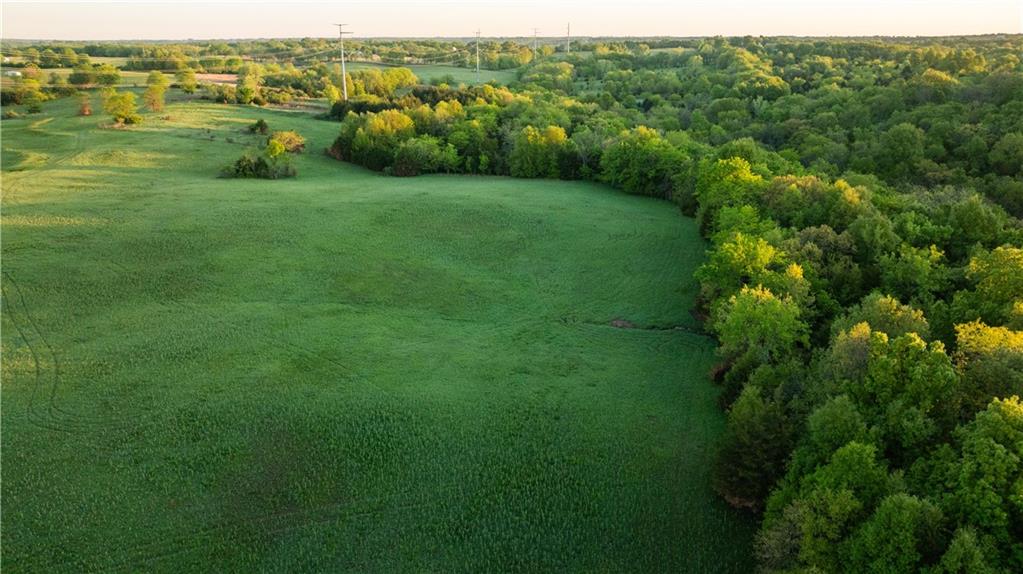 West Murray Road Polo, MO 64671 - Photo 85 of 99