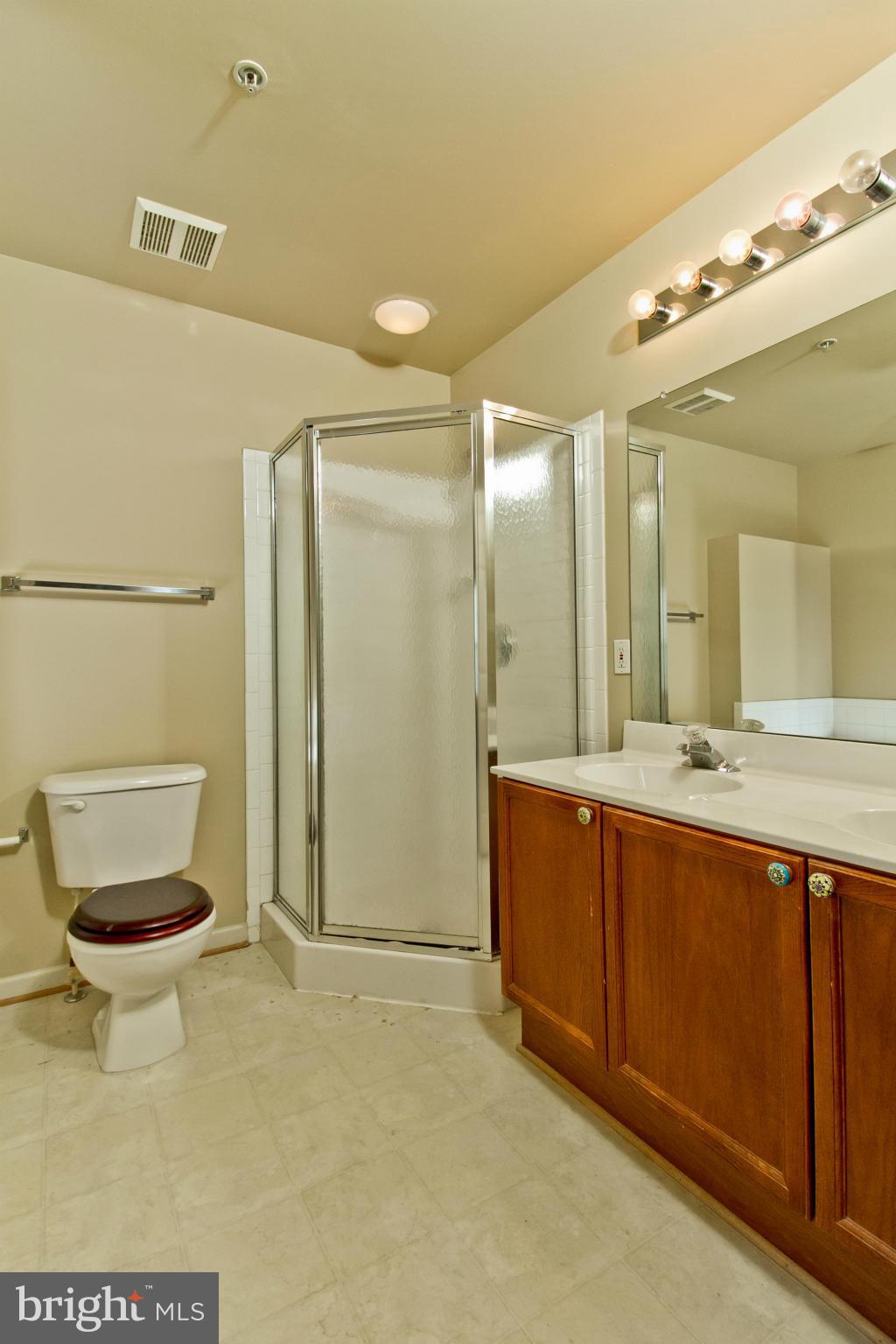 115 Sentry Ridge Smithsburg, MD 21783 - Photo 21 of 23 Bath (Master)