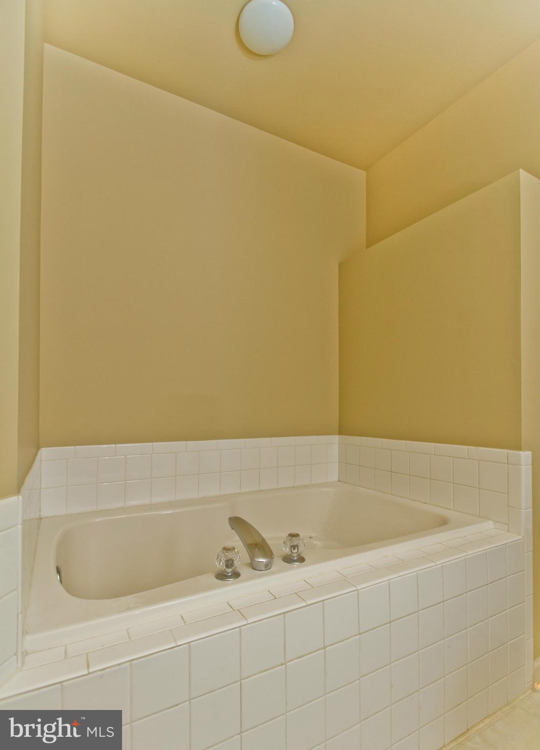 115 Sentry Ridge Smithsburg, MD 21783 - Photo 22 of 23 Bath (Master)
