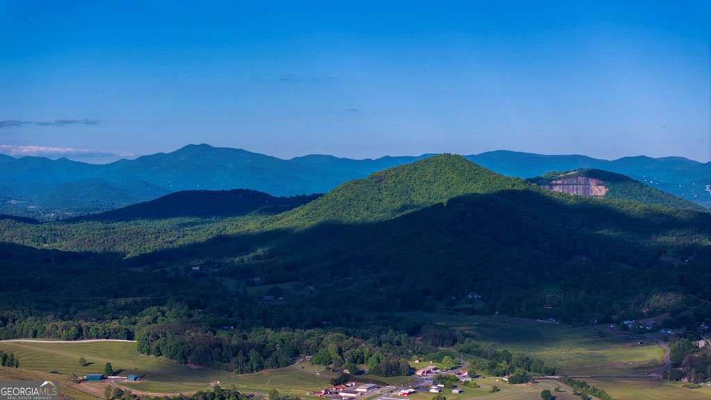 1 West Gum Log Road Warne, NC 28909 - Photo 6 of 26