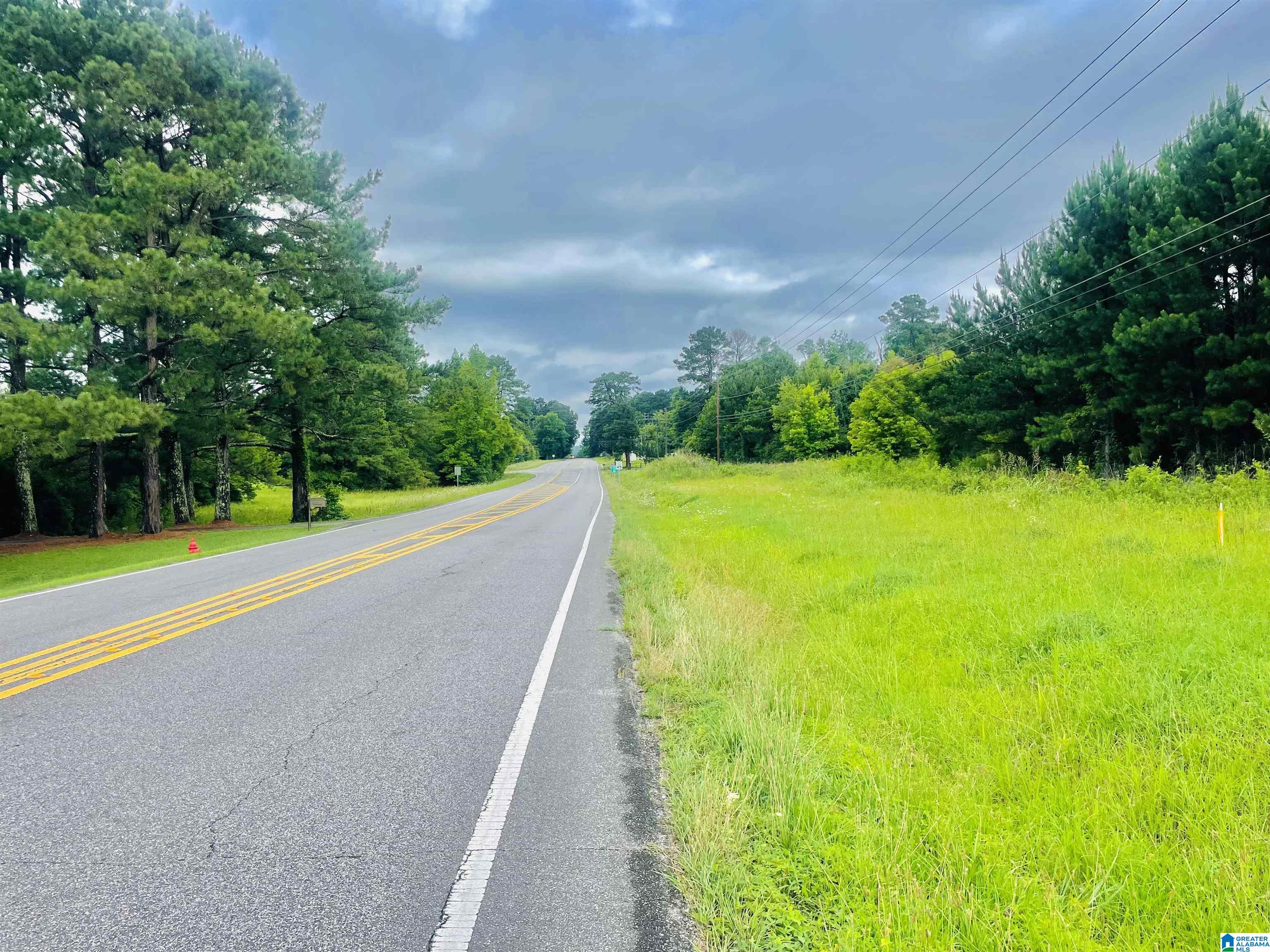 0 Highway 47, Unit 2 Chelsea, AL 35043 - Photo 3 of 19