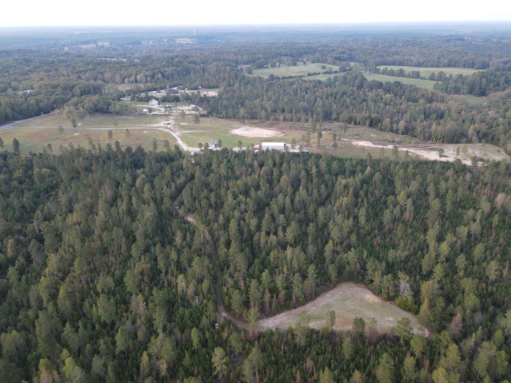 0 Blue Jay Road Hodges, SC 29653 - Photo 19 of 28 Gallery Image 19