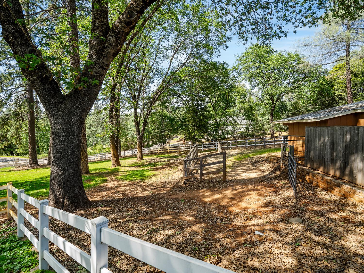 6460 Claim Street Placerville, CA 95667 - Photo 17 of 86 a view of a yard with wooden fence
