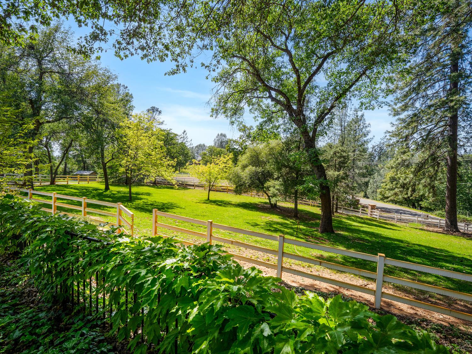 6460 Claim Street Placerville, CA 95667 - Photo 2 of 86