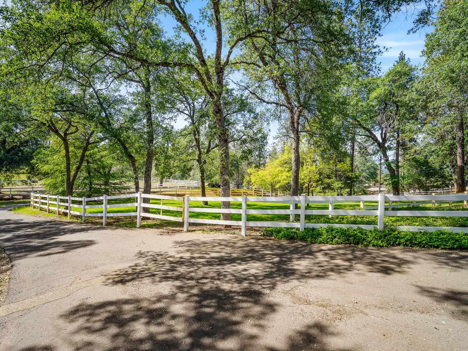 6460 Claim Street Placerville, CA 95667 - Photo 5 of 86
