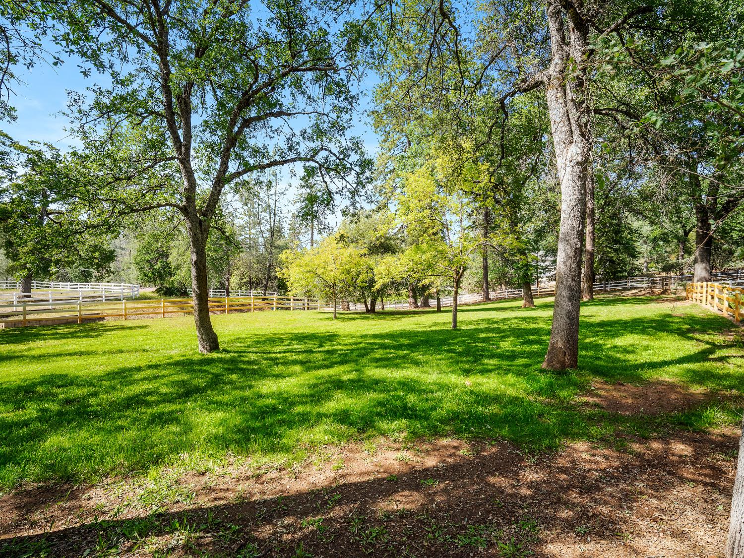 6460 Claim Street Placerville, CA 95667 - Photo 6 of 86 a big yard with lots of green space and trees