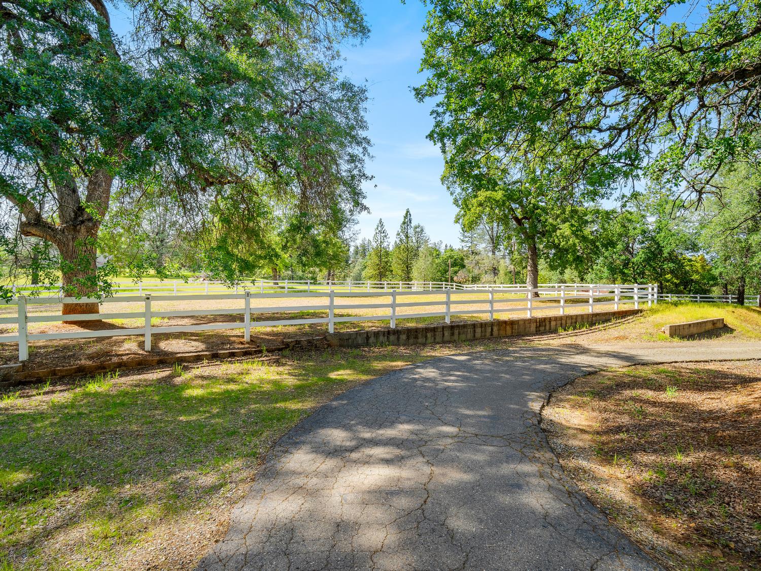 6460 Claim Street Placerville, CA 95667 - Photo 7 of 86 a view of a swimming pool with a yard