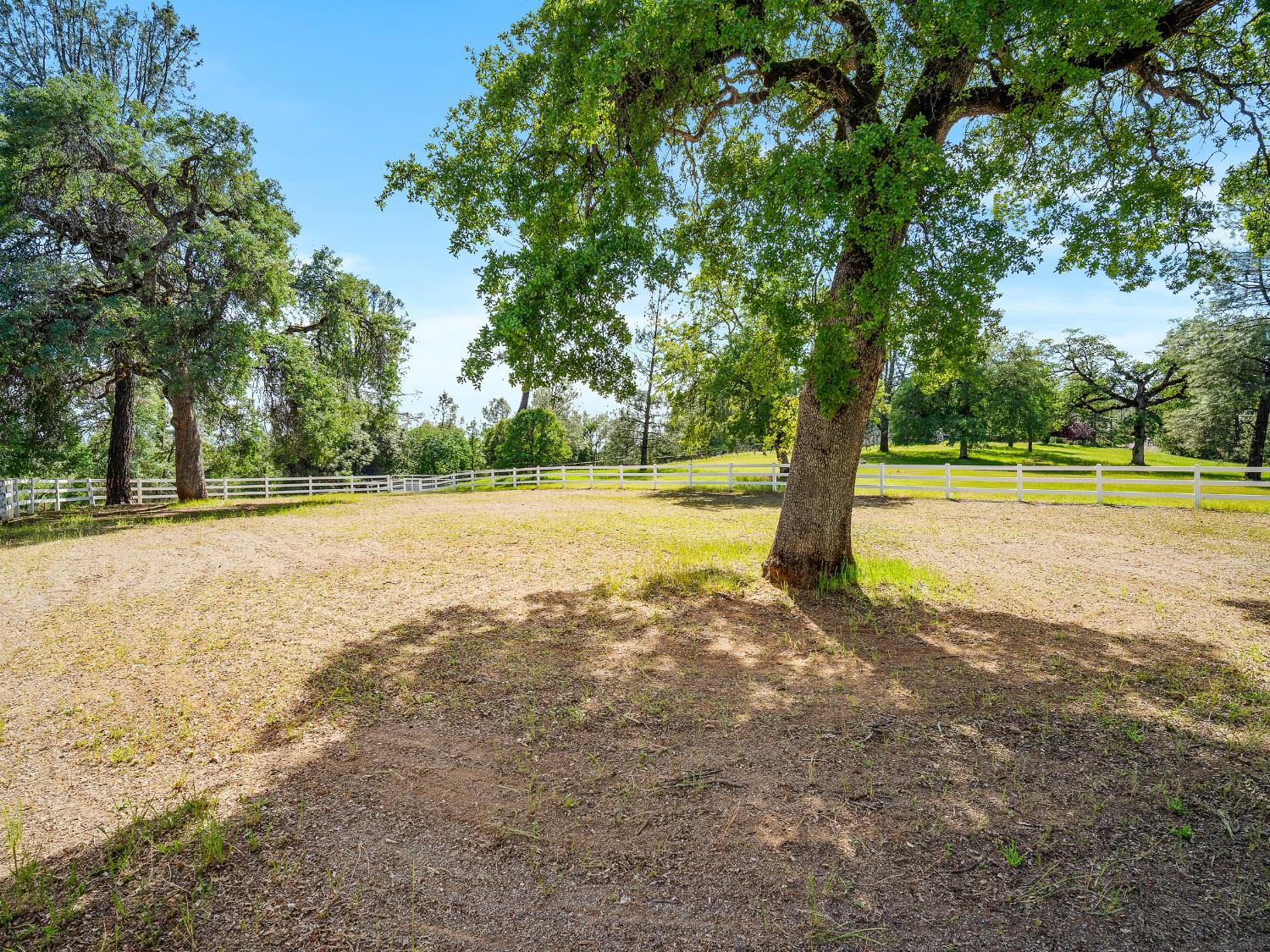 6460 Claim Street Placerville, CA 95667 - Photo 8 of 86 a view of a field with trees in the background