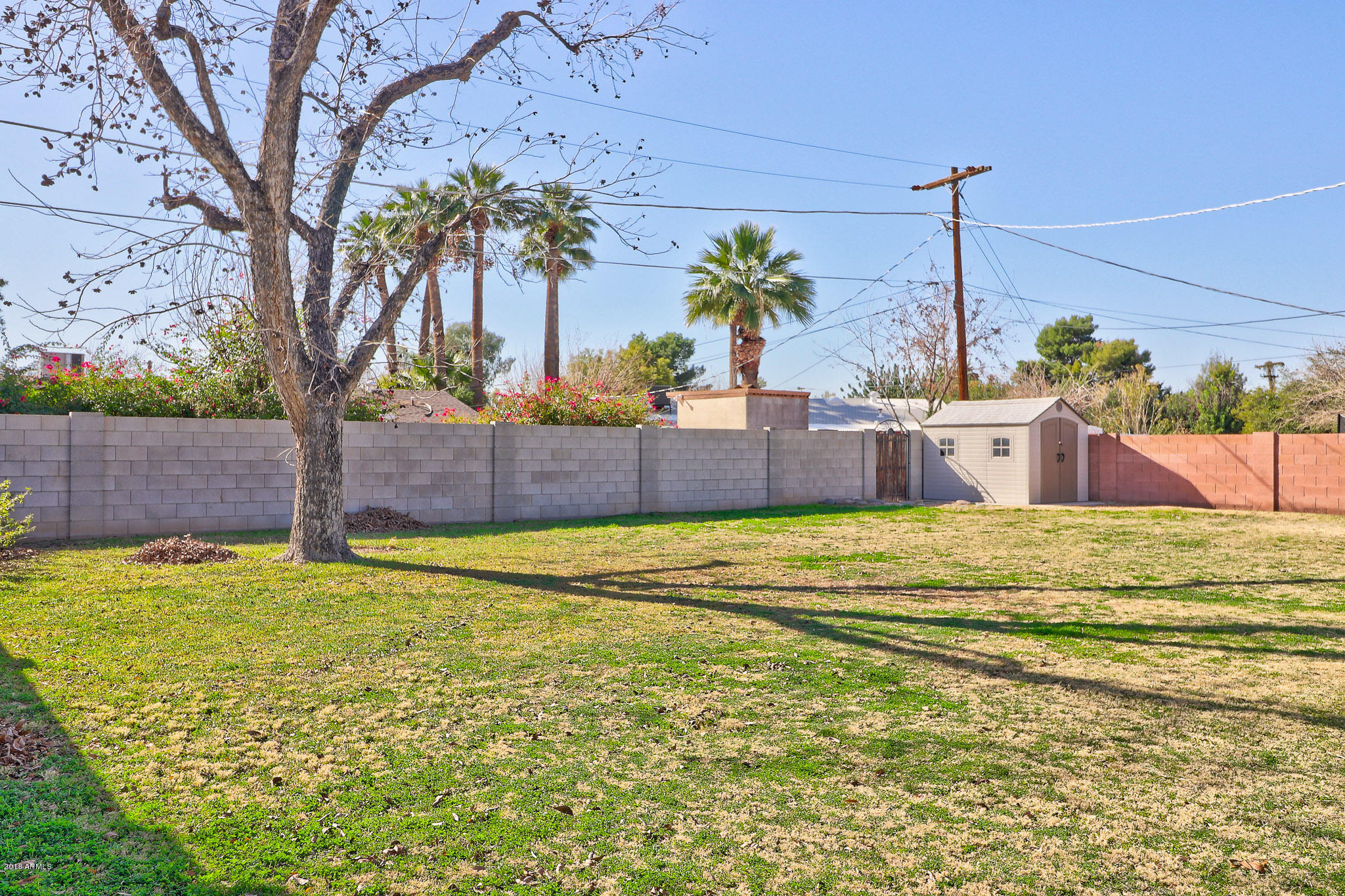 3609 East Piccadilly Road Phoenix, AZ 85018 - Photo 19 of 21 Backyard