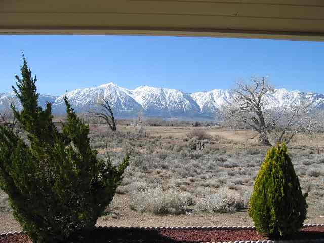 1530 Lombardy Road Gardnerville, NV 89410 - Photo 2 of 3 a view of a yard with plants