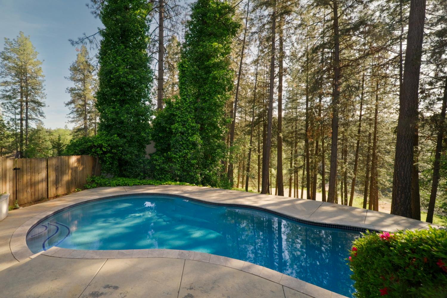 17082 Alioto Drive Grass Valley, CA 95949 - Photo 32 of 42 Amazing pool side views from the new concrete deck