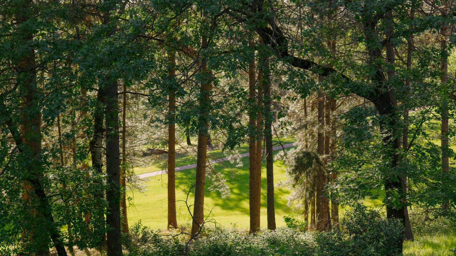 17082 Alioto Drive Grass Valley, CA 95949 - Photo 33 of 42 Views from the pool