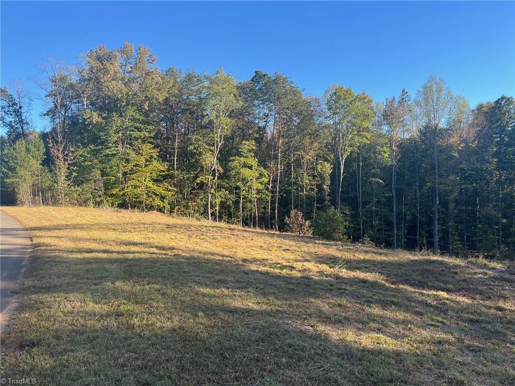 6455 Reubens Ridge Drive Winston-Salem, NC 27105 - Photo 6 of 10