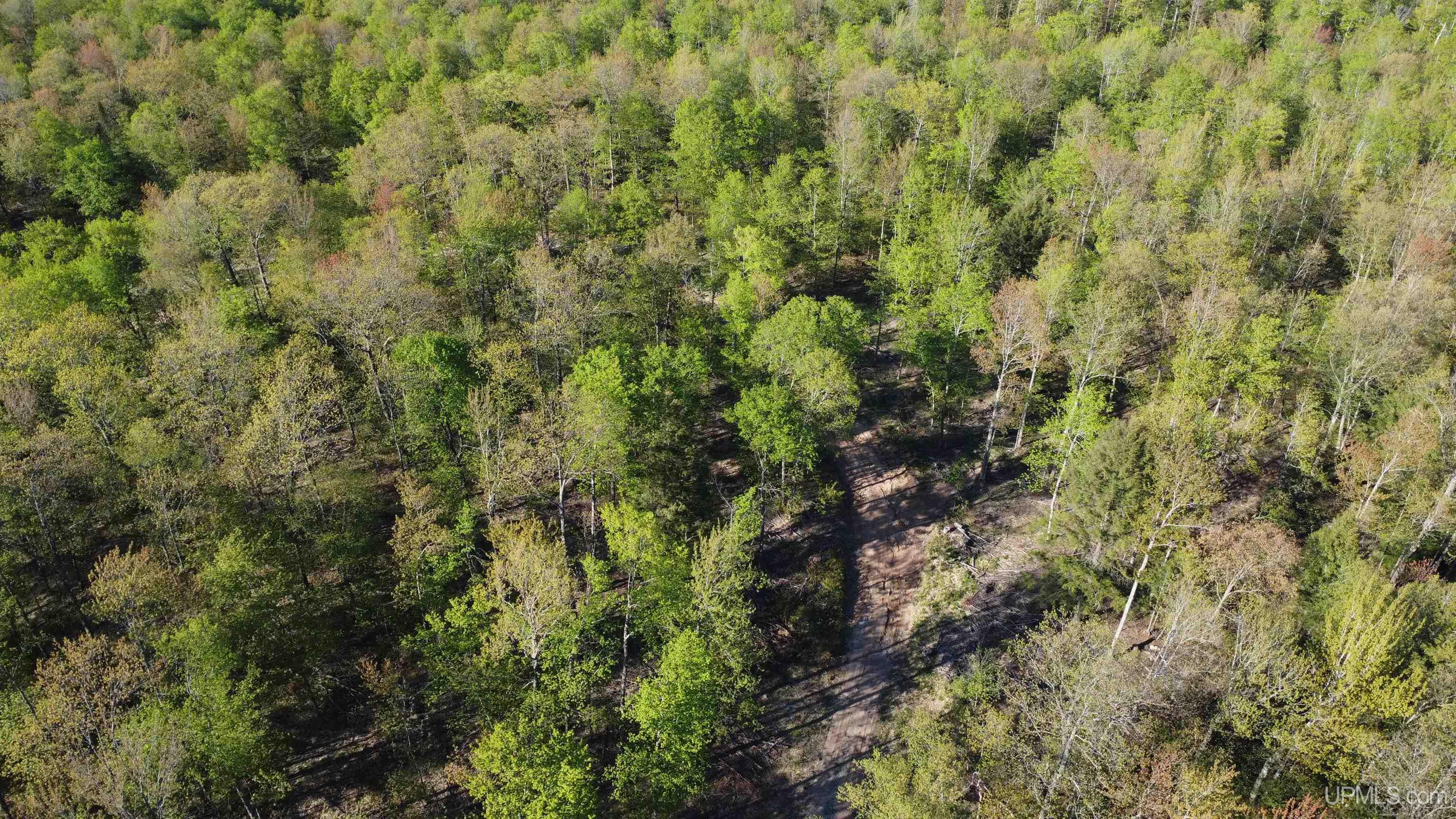 Off Off Hoist Road Negaunee, MI 49866 - Photo 35 of 45
