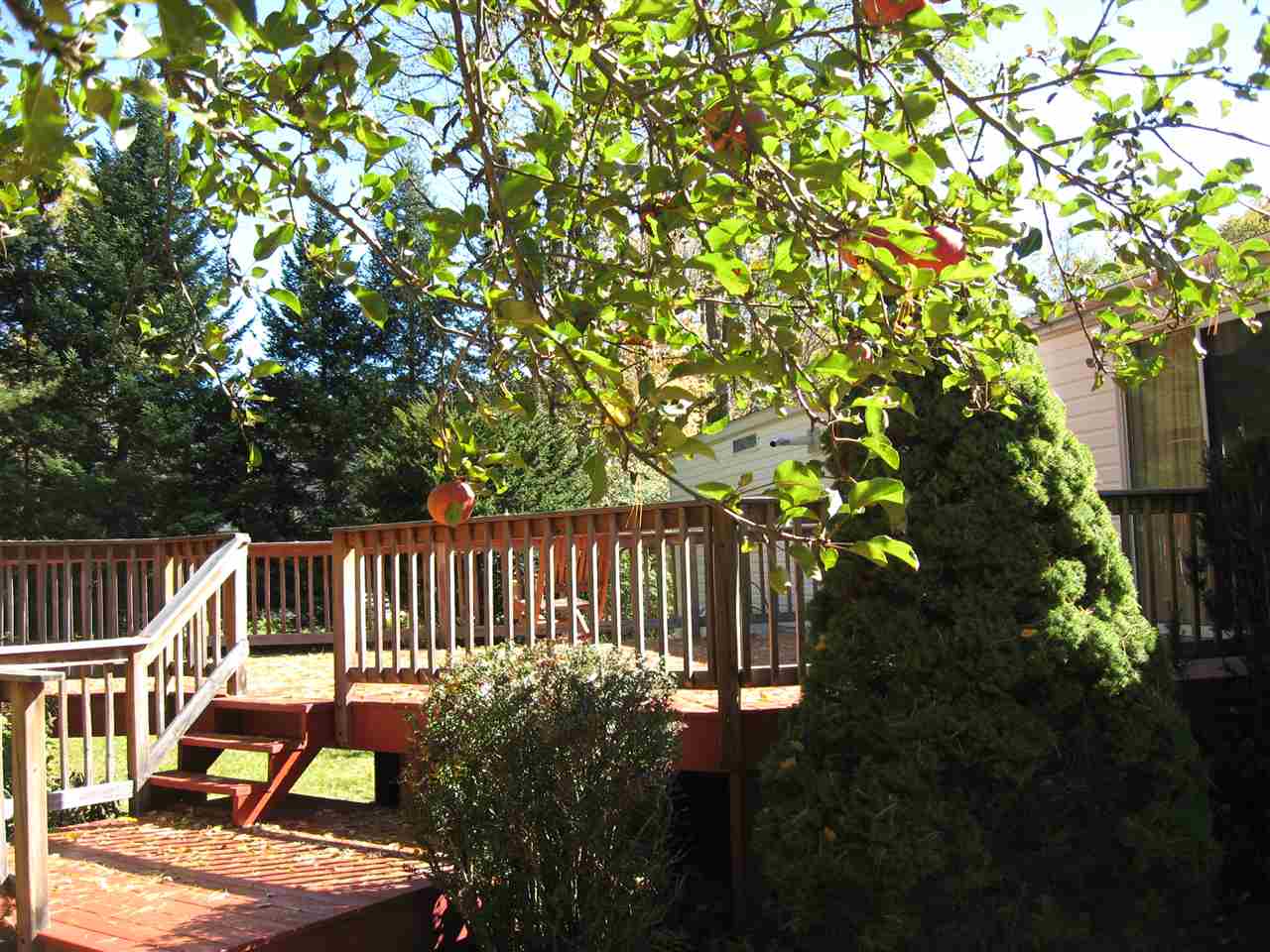 933 High Street Cavendish, VT 05142 - Photo 20 of 36 Gallery Image 20