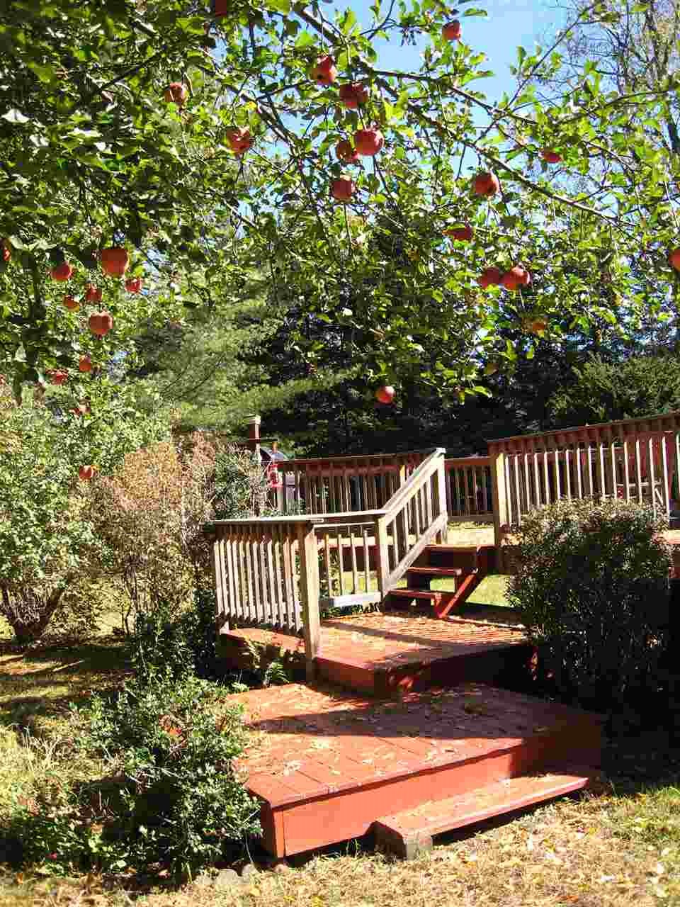 933 High Street Cavendish, VT 05142 - Photo 8 of 36 Gallery Image 8