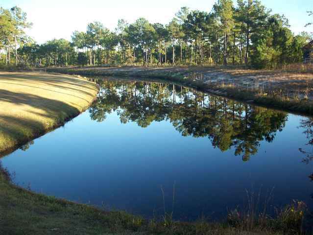 Lot 109 Chisholm Road Myrtle Beach, SC 29579 - Photo 6 of 7 Gallery Image 6