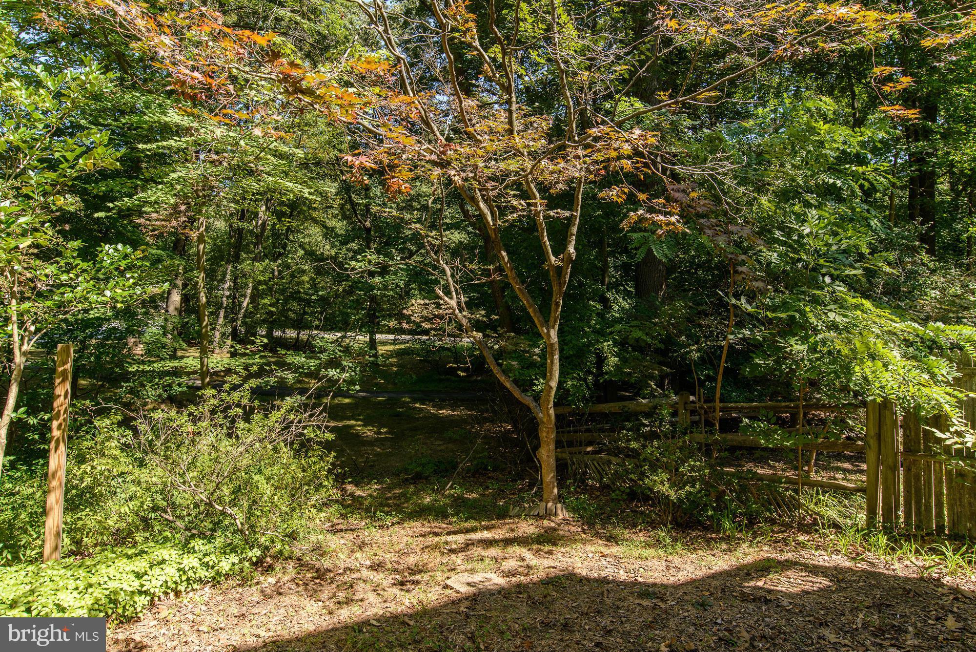 8183 Inverness Ridge Road Potomac, MD 20854 - Photo 26 of 27 View
