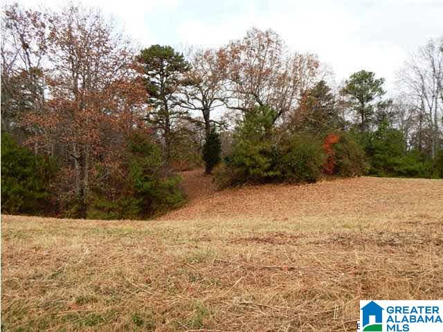 401 Beasley Road Gardendale, AL 35071 - Photo 11 of 15