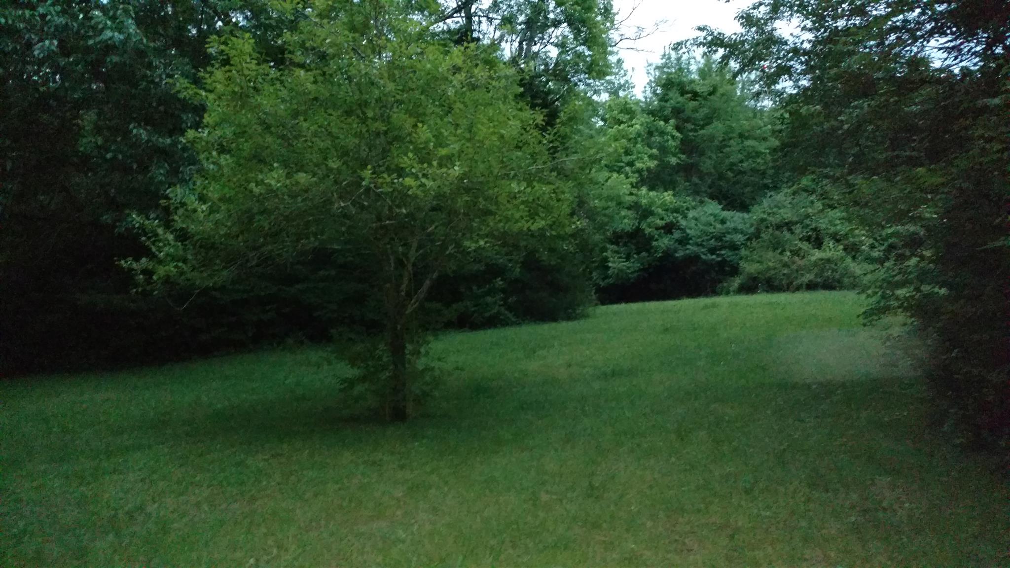 5947 Cane Ridge Road Antioch, TN 37013 - Photo 4 of 10 Gallery Image 4