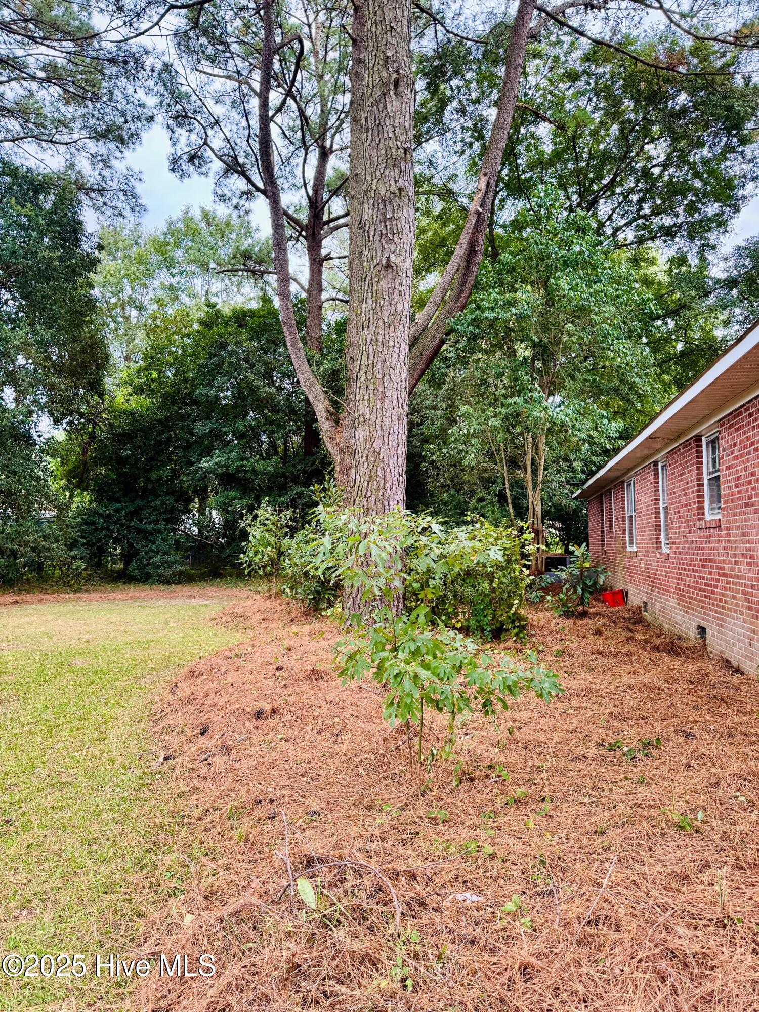 1001 Stoddard Road South Wilson, NC 27893 - Photo 19 of 21 IMG_6787