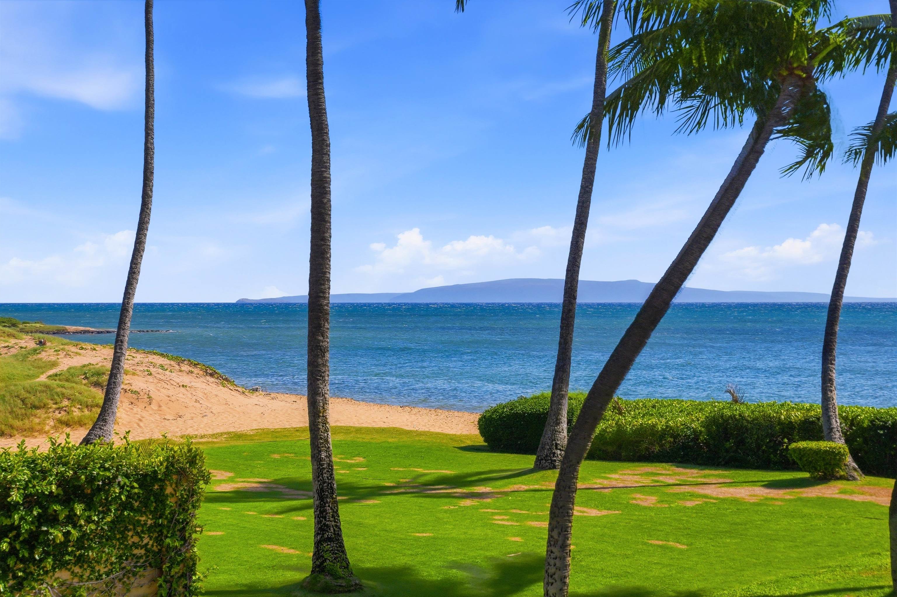 1310 Uluniu Road, Unit 202 Kihei, HI 96753 - Photo 22 of 39