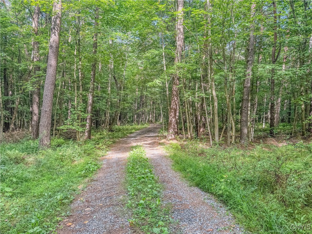 672 Pinckney Road Pinckney, NY 13626 - Photo 49 of 50
