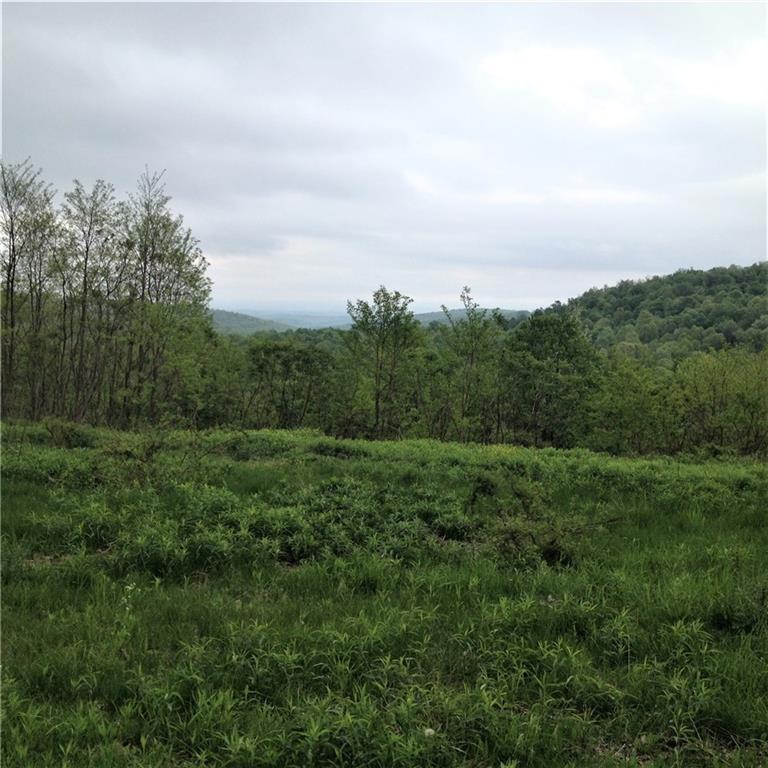749 Fire Tower Road Champion, PA 15622 - Photo 1 of 4 Verdant green views!