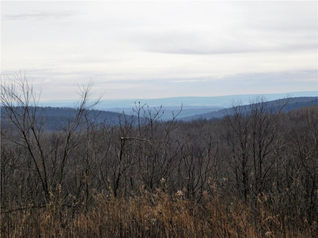 749 Fire Tower Road Champion, PA 15622 - Photo 2 of 4 Gorgeous views...