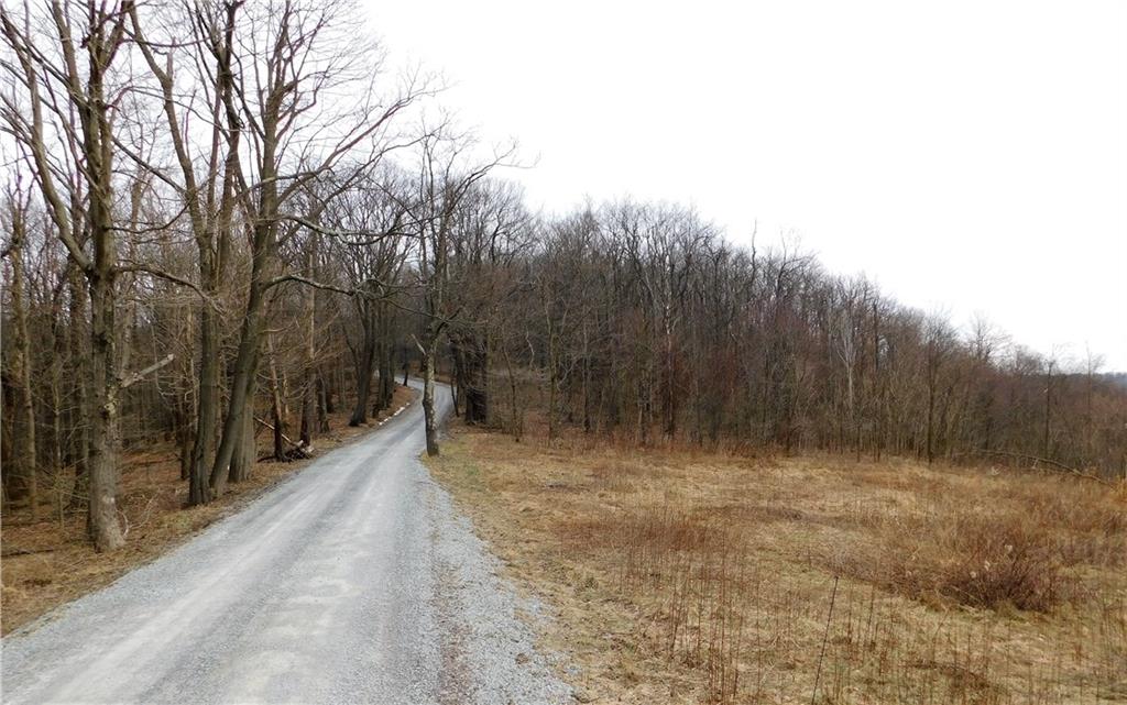 749 Fire Tower Road Champion, PA 15622 - Photo 3 of 4 View from road toward lot on right.
