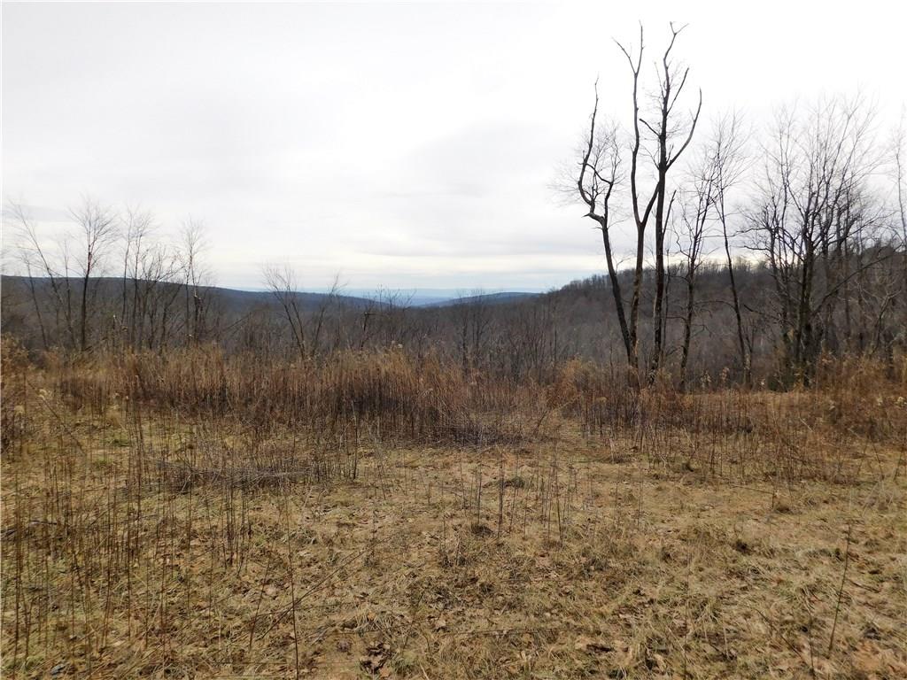 749 Fire Tower Road Champion, PA 15622 - Photo 4 of 4 Gallery Image 4