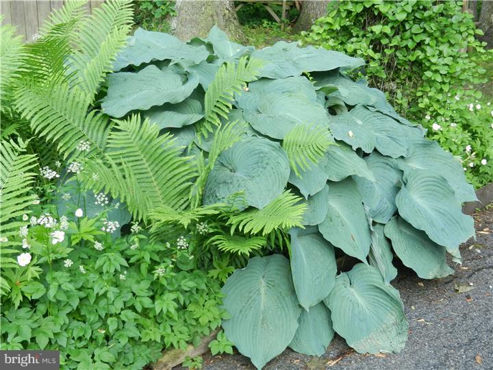 719 Highspire Road Glenmoore, PA 19343 - Photo 3 of 20 Garden