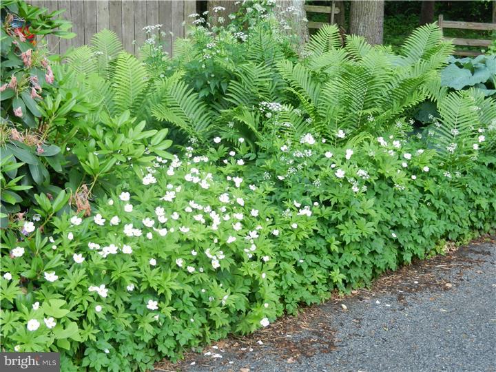 719 Highspire Road Glenmoore, PA 19343 - Photo 4 of 20 Garden