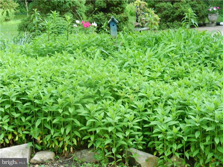 719 Highspire Road Glenmoore, PA 19343 - Photo 5 of 20 Garden