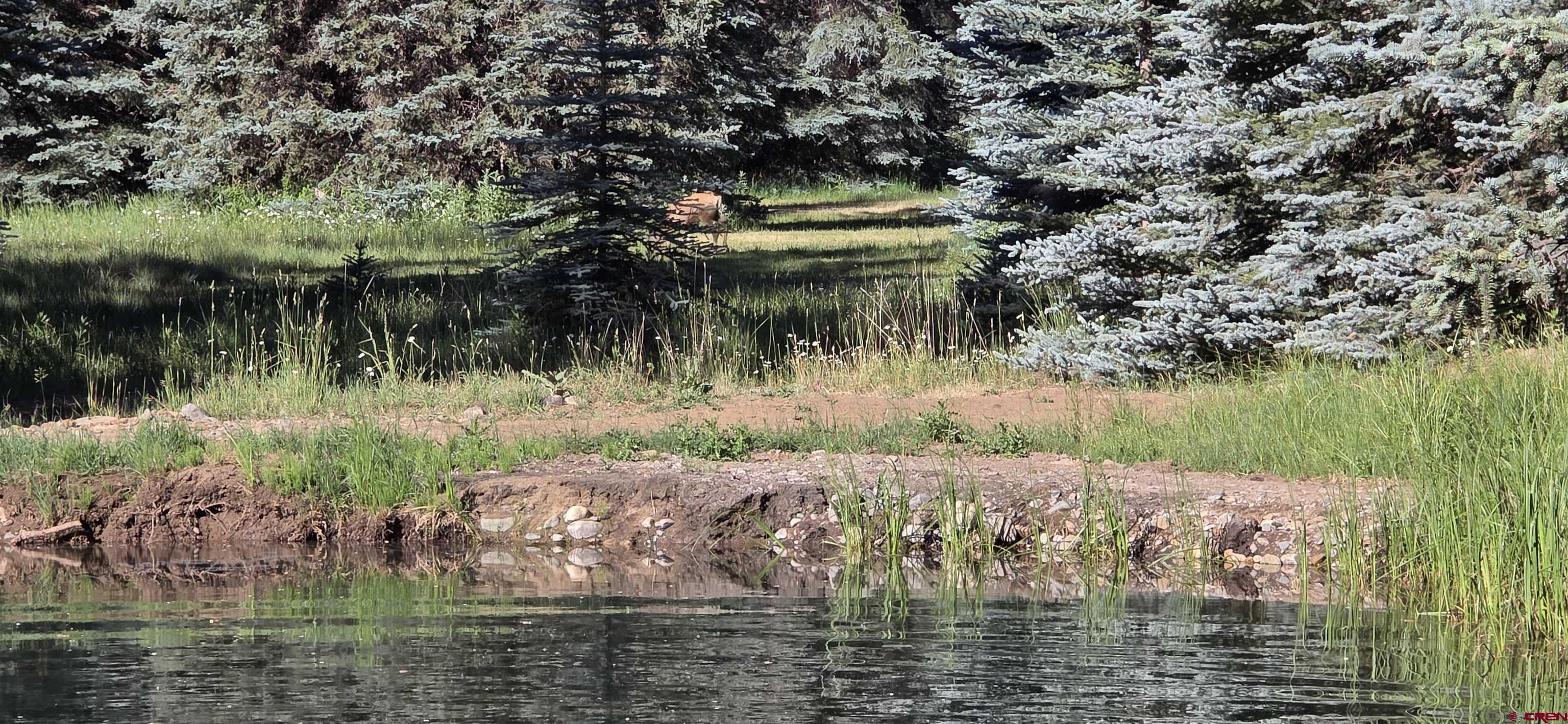 201 Golden Forest Road Bayfield, CO 81122 - Photo 9 of 37