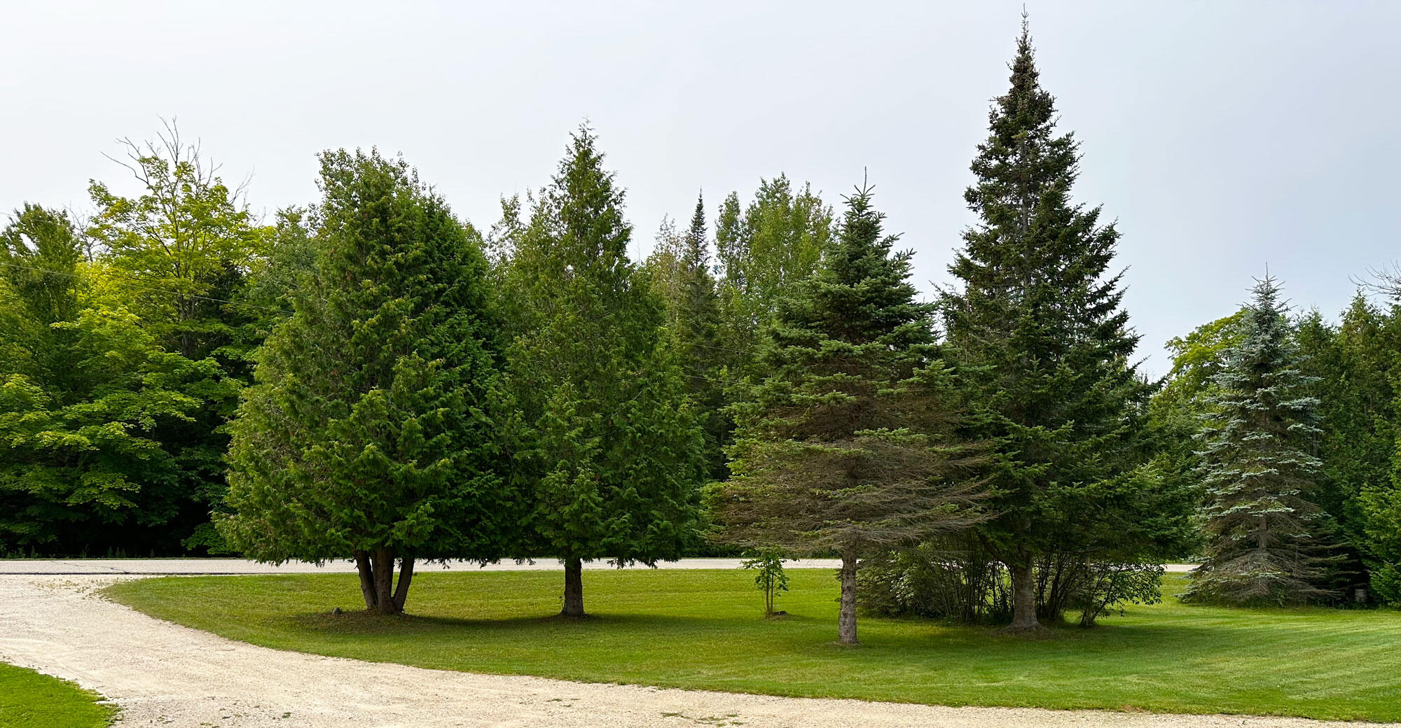 985 Martin Lake Road St. Ignace, MI 49781 - Photo 54 of 55 Gallery Image 54