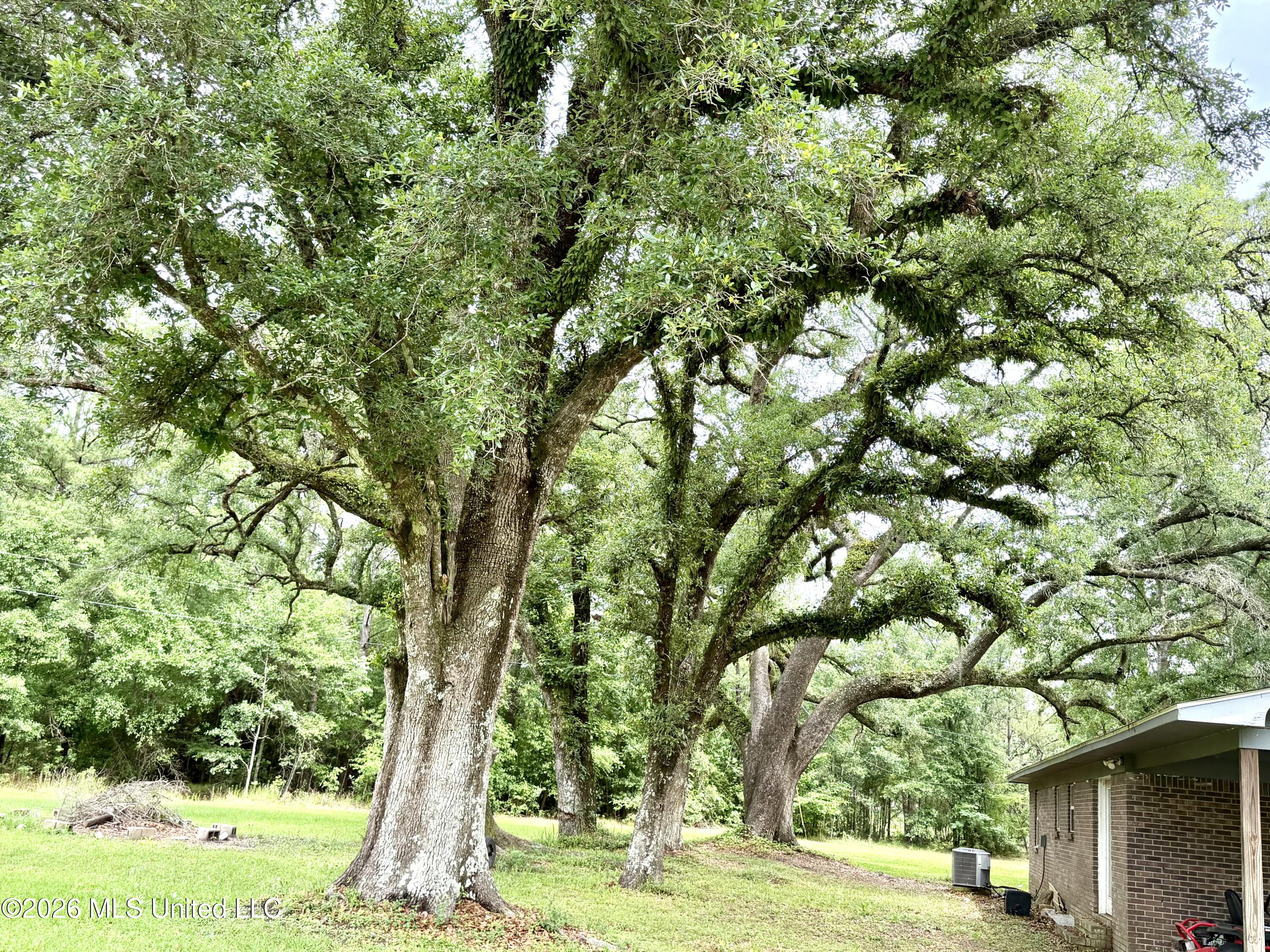 25825 Setina Road Lucedale, MS 39452 - Photo 31 of 33 IMG_4806