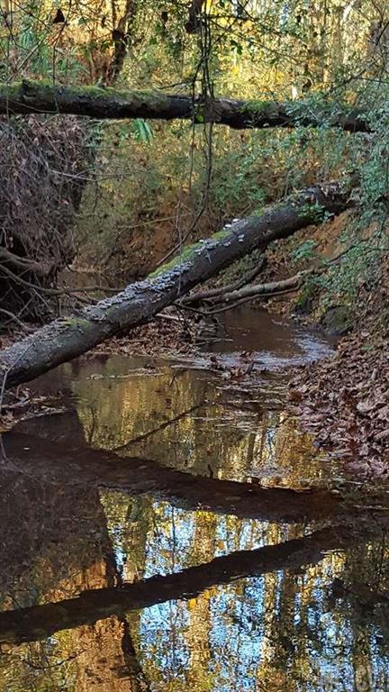 Off Off River Road Hickory, NC 28602 - Photo 2 of 6 Gallery Image 2
