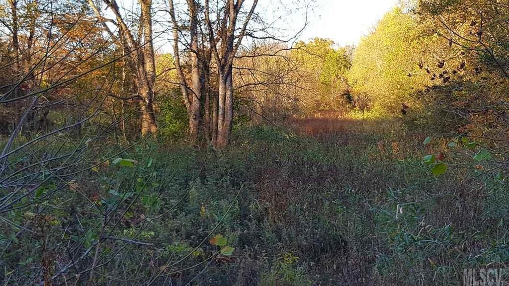 Off Off River Road Hickory, NC 28602 - Photo 6 of 6 Gallery Image 6