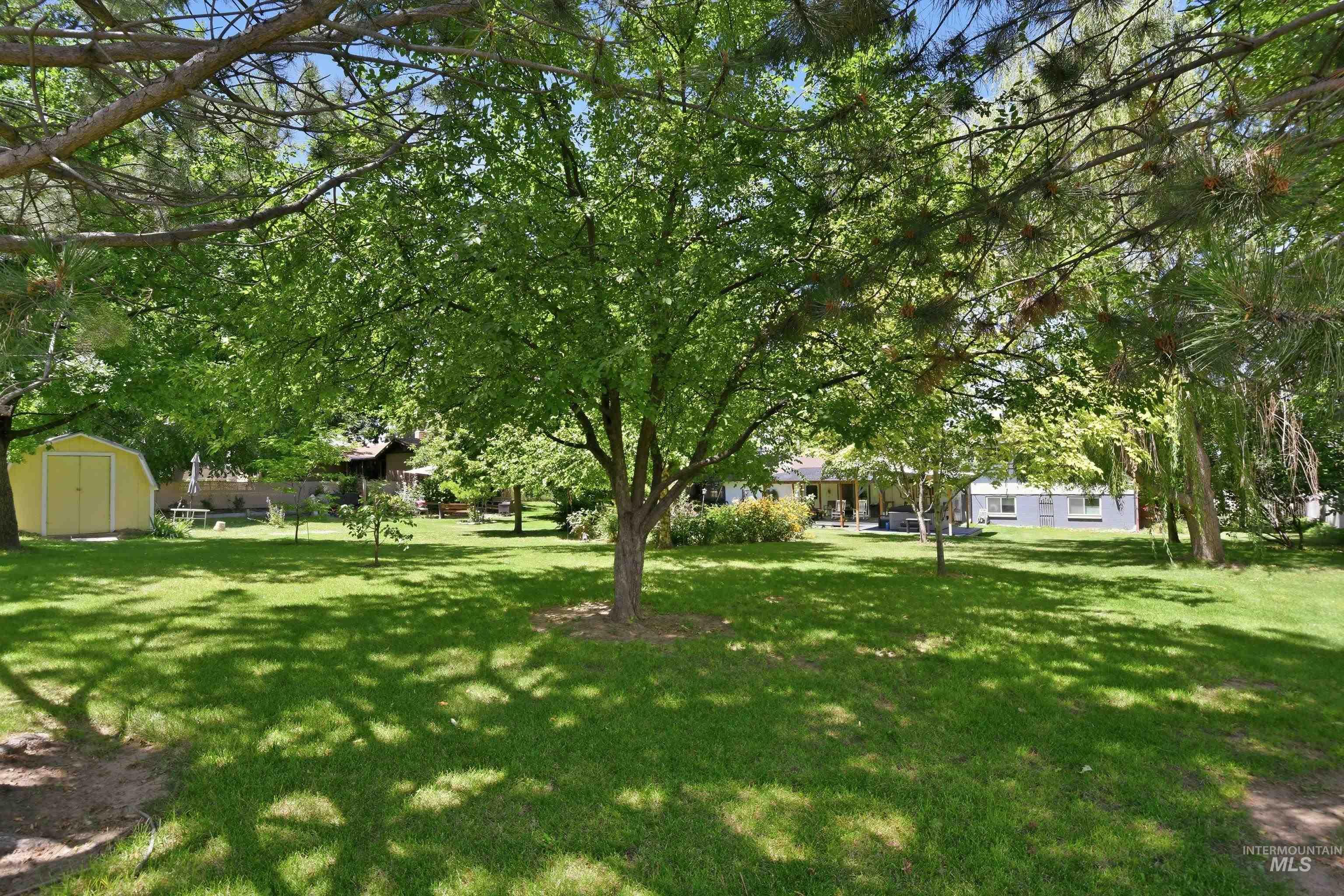 15095 David Street Caldwell, ID 83607 - Photo 33 of 39 Expansive lawn area featuring mature trees, a yellow storage shed, and additional perimeter plantings