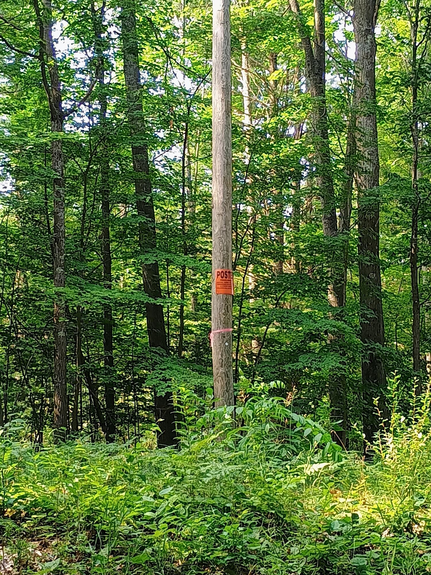 0 Kerry And Archer Road Brethren, MI 49619 - Photo 2 of 7 boundary tape