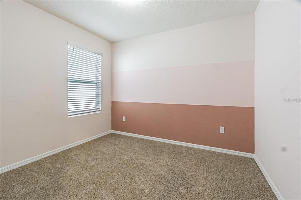 10853 Trailing Vine Drive Tampa, FL 33610 - Photo 15 of 15 an empty room with windows and plant