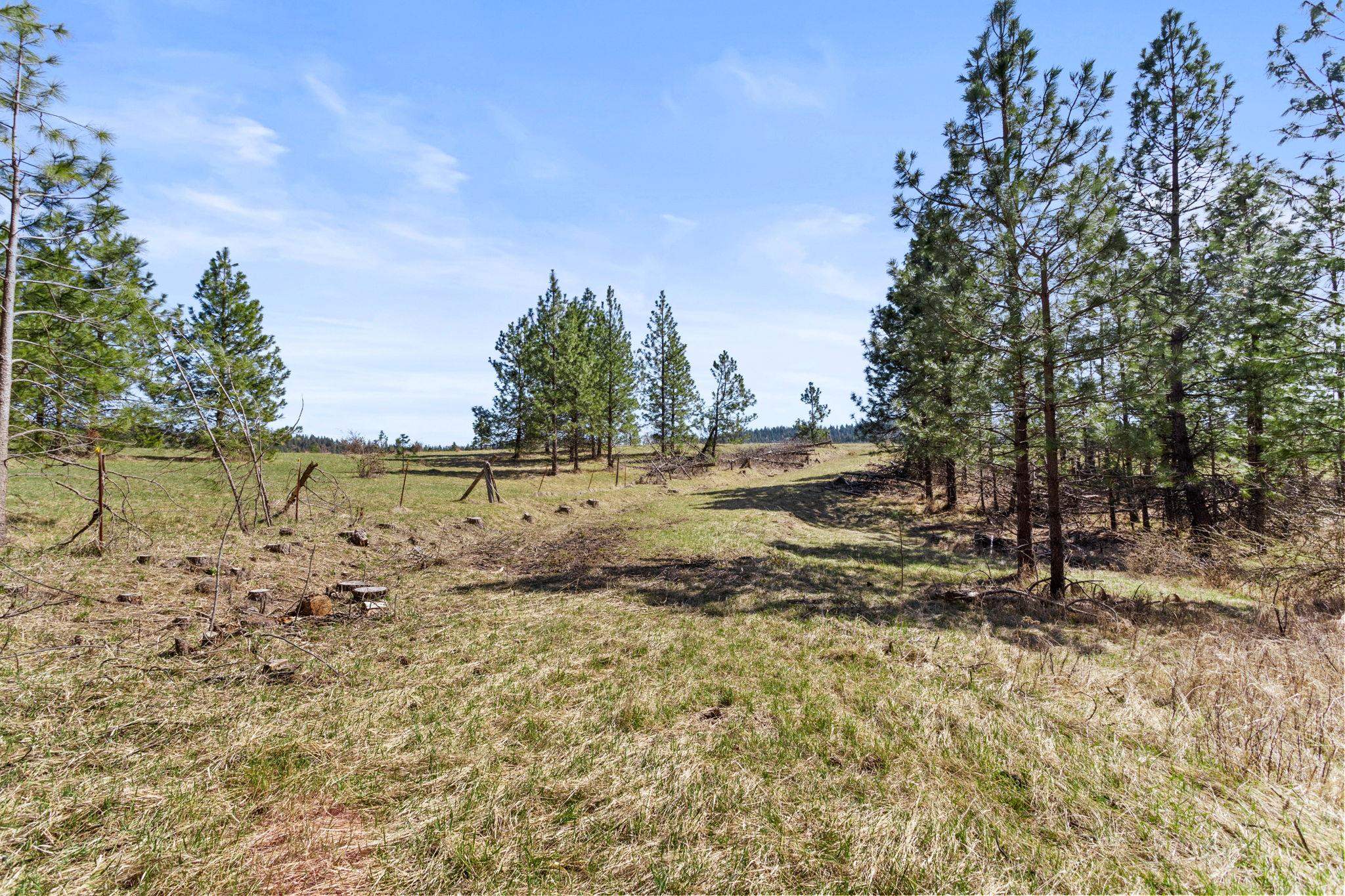 15809 North Scribner Branch Road Spokane, WA 99217 - Photo 7 of 20 Gallery Image 7
