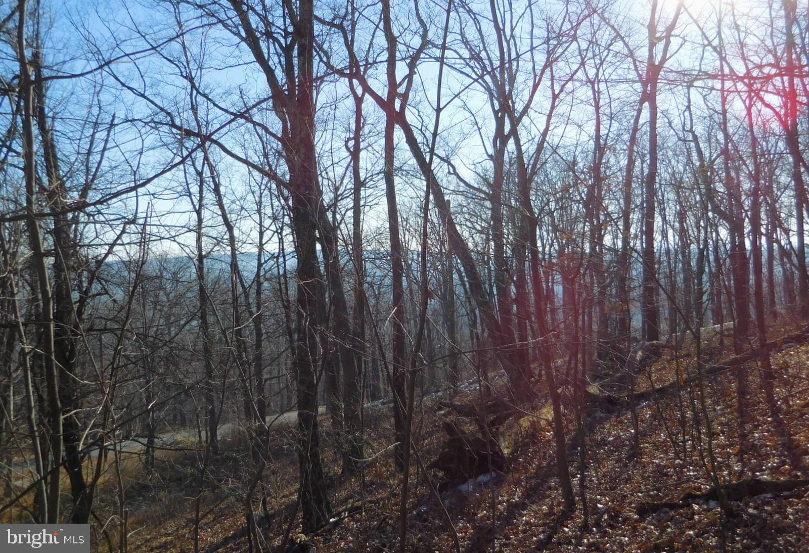 0 Tomahawk Winchester, VA 22602 - Photo 2 of 9 60 Acres of Woodland